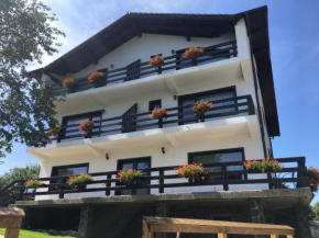 Vila Valea Rece